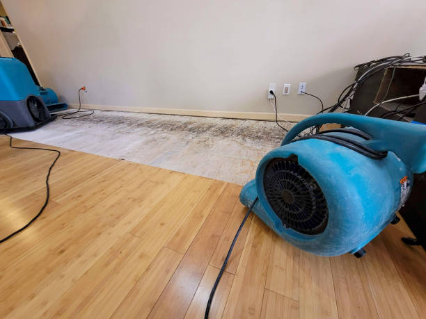 Professional Basement Flood Cleanup technician working in Lancaster, TN